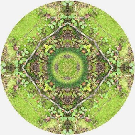 I DELICATISSIMI MANDALA CIRCOLARI CON IMMAGINI DI PAESAGGI NATURALI DI ALLISON TRENTELMAN