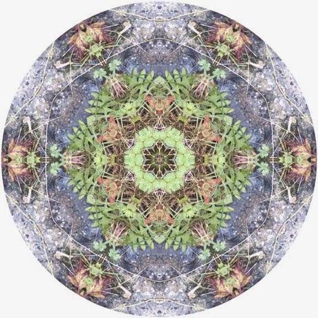 I DELICATISSIMI MANDALA CIRCOLARI CON IMMAGINI DI PAESAGGI NATURALI DI ALLISON TRENTELMAN