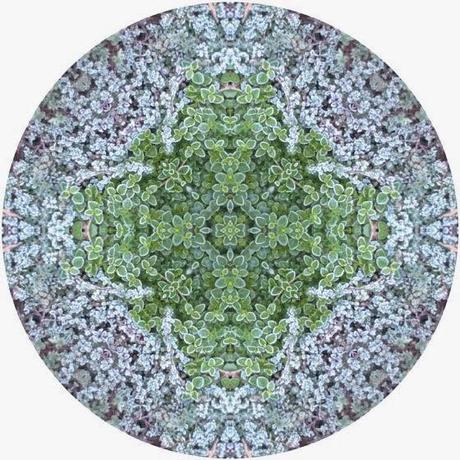 I DELICATISSIMI MANDALA CIRCOLARI CON IMMAGINI DI PAESAGGI NATURALI DI ALLISON TRENTELMAN