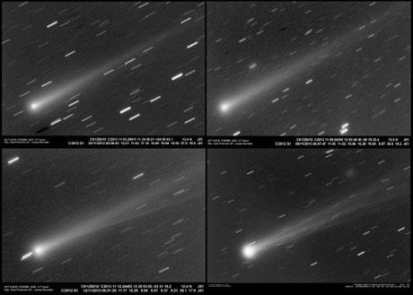 Cometa ISON 3 - 9 novembre