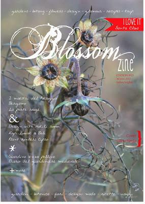 Blossom zine nuovo numero _ Winter issue