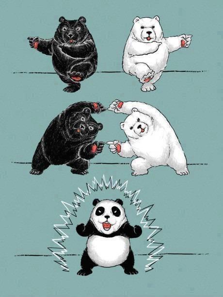 panda-orso