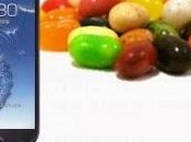 Come aggiornare Samsung Galaxy Android Jelly Bean: Guida all'installazione Leaked