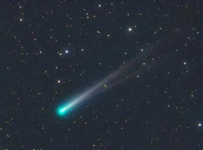 Cometa Ison