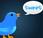 Twitter: news media fieri?