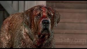 Cujo-3