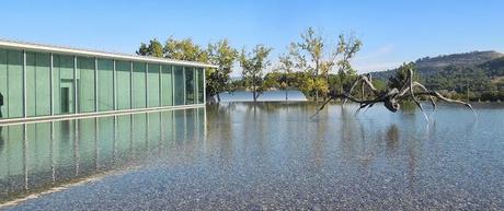 Château La Coste: vino-arte-architettura