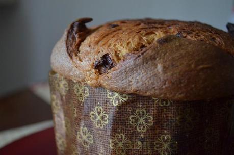 panettone_cupola_scaled