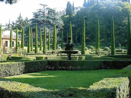 21 novembre - giornata nazionale degli alberi