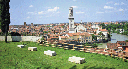 21 novembre - giornata nazionale degli alberi