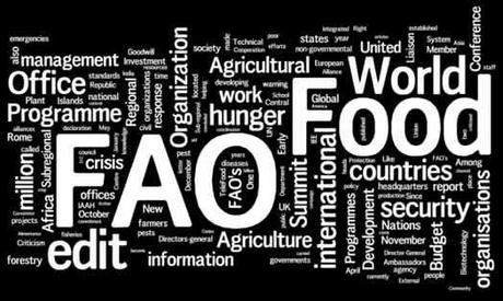 FAO LAVORO E STAGE PRESSO LA FAO