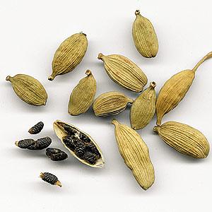 cardamomo