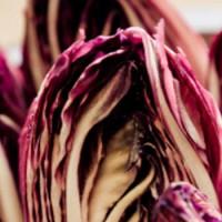 Bocconcini di tacchino al radicchio