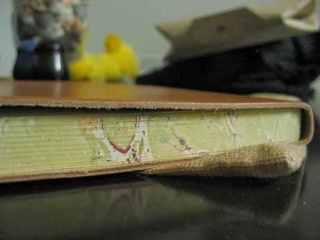 GIULIO GIANNINI e FIGLIO!!