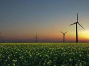 Brasile scommette eolico fotovoltaico