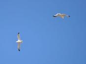 "dolore" insegna /Spazio riflessione