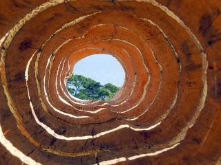 Land Art al giardino dei Mediterranei