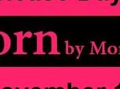 Book Launch: Torn Monica Murphy