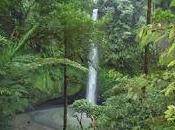 Viaggi Indonesia: cascata Pinaras