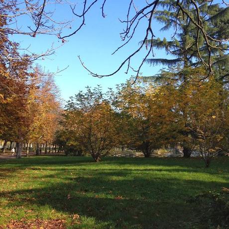 L'AUTUNNO IN TASCA. I GIARDINI MARGHERITA A BOLOGNA.