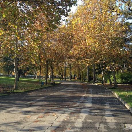 L'AUTUNNO IN TASCA. I GIARDINI MARGHERITA A BOLOGNA.