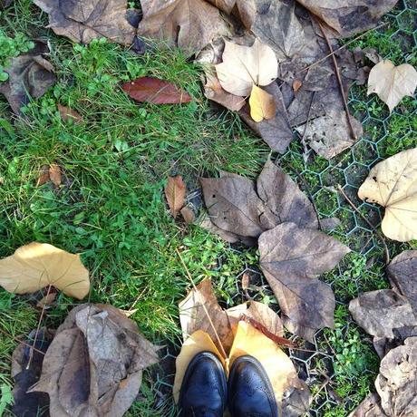 L'AUTUNNO IN TASCA. I GIARDINI MARGHERITA A BOLOGNA.