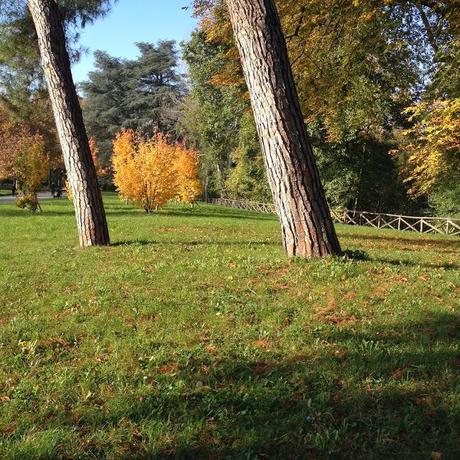 L'AUTUNNO IN TASCA. I GIARDINI MARGHERITA A BOLOGNA.