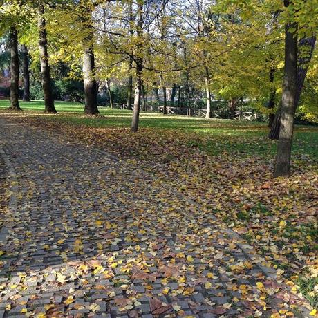 L'AUTUNNO IN TASCA. I GIARDINI MARGHERITA A BOLOGNA.