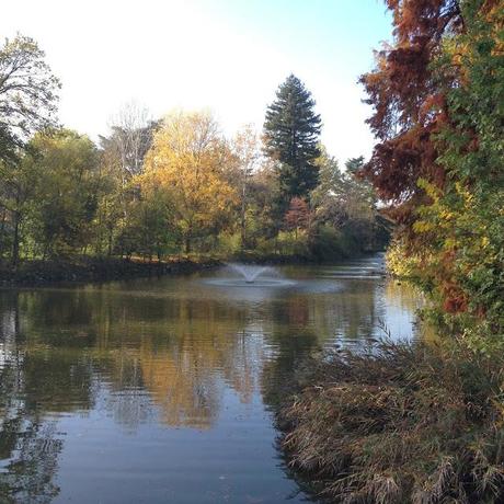 L'AUTUNNO IN TASCA. I GIARDINI MARGHERITA A BOLOGNA.