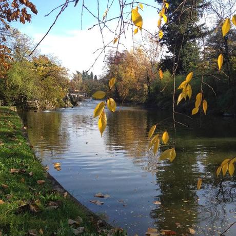 L'AUTUNNO IN TASCA. I GIARDINI MARGHERITA A BOLOGNA.