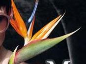 Nuove assunzioni mara