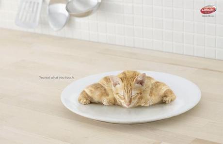 You Eat What You Touch Cat