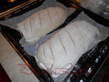 Pane Farina 2(1)