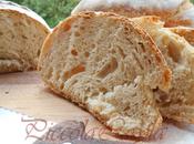 Ciabatta farina Pasta Madre