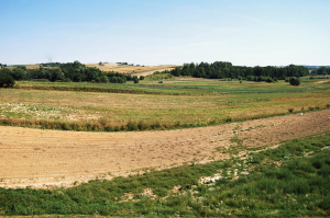 Una campagna agricola in Polonia (flickr.com)