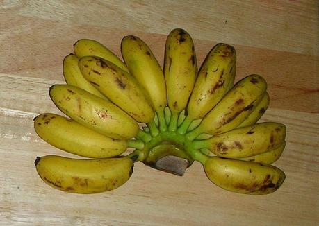 File: Thai banane di Kamphaeng phet87.jpg