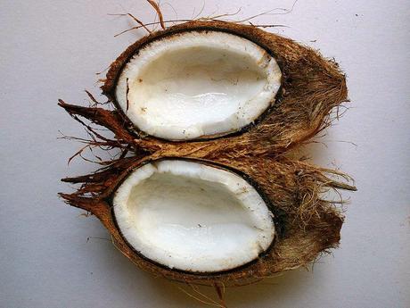 File: Cocos nucifera00.jpg