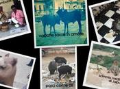 everything possible India
