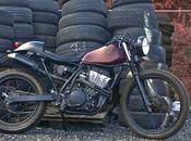 TT350 Dagger Cycles