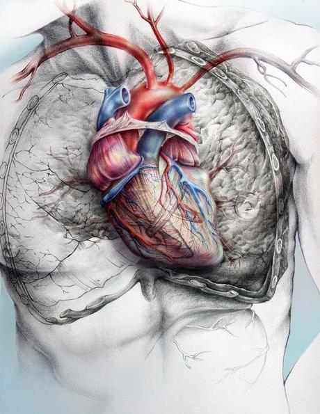 Cardiologia