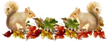 autumn banner