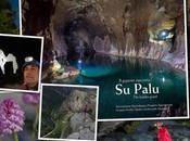 Presentazione libro Palu”