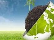 Terna: rapporto sostenibilita’