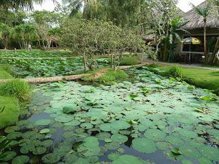 Vietnam: il delta del Mekong