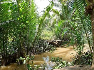 Vietnam: il delta del Mekong