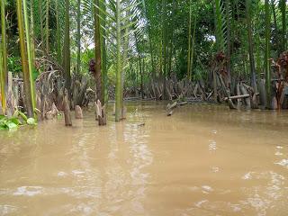 Vietnam: il delta del Mekong