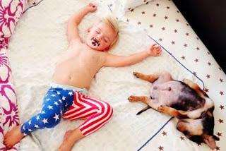 Affetto e amore fra due cuccioli