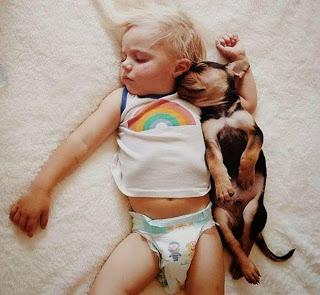 Affetto e amore fra due cuccioli