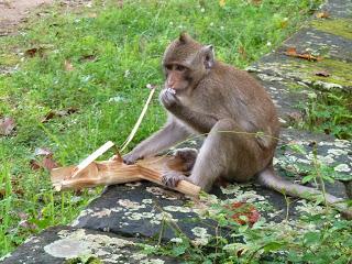 Cambogia: Siem Reap e le meraviglie di Angkor