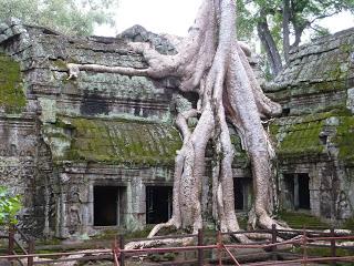 Cambogia: Siem Reap e le meraviglie di Angkor